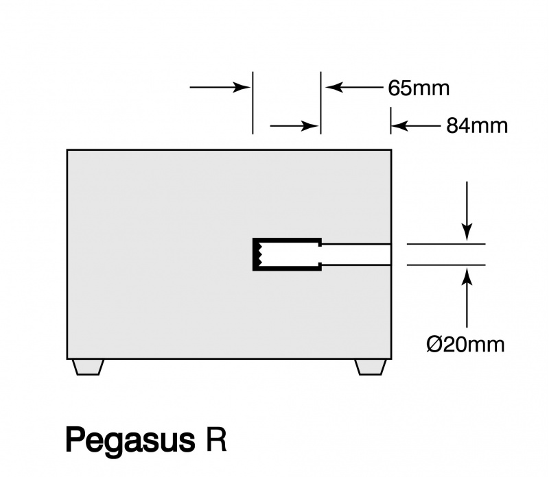 Pegasus R Diagram